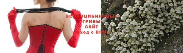 а пвп мука Алзамай