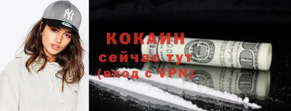ALPHA PVP Гусь-Хрустальный