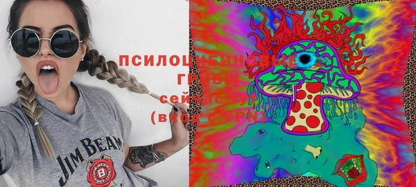 ГАЛЛЮЦИНОГЕННЫЕ ГРИБЫ Алексин